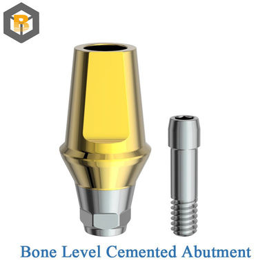 Tipo sumergido Implante interno hex de titanio Implante dental a nivel óseo Compatible con diseño 3D personalizado